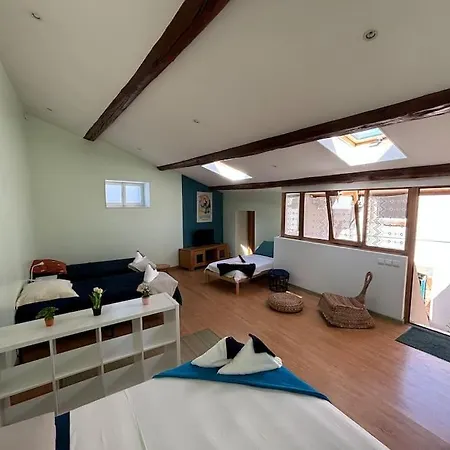 Ancienne Grange Rehabilitee 度假居 *